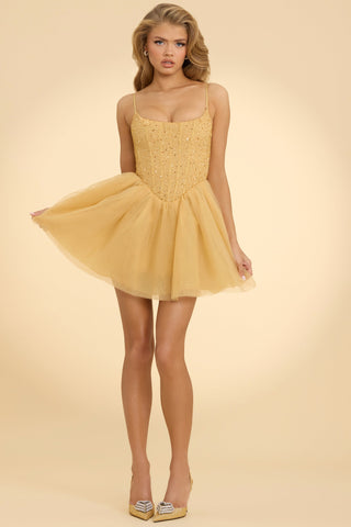 Embellished Corset Tulle Mini Dress