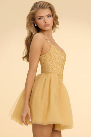 Embellished Corset Tulle Mini Dress
