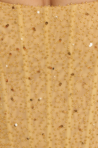 Embellished Corset Tulle Mini Dress