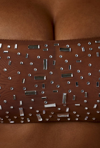 Sheer Embellished Long Sleeve Crop Top