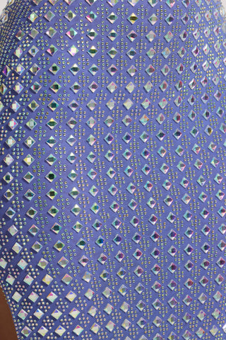 Embellished Mesh Gown Skirt