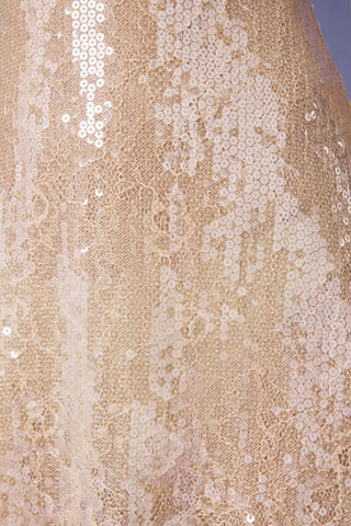 Embellished V Neck Lace Mini Dress