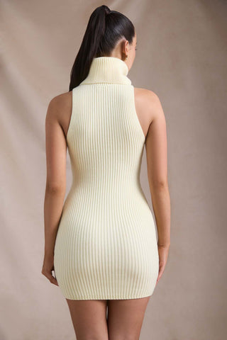 Ribbed Knit Turtleneck Bodycon Dress