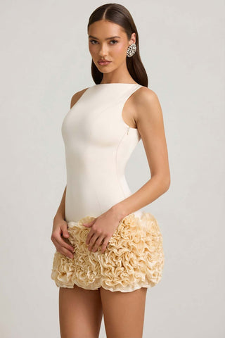 Floral Applique Open Back Mini Dress