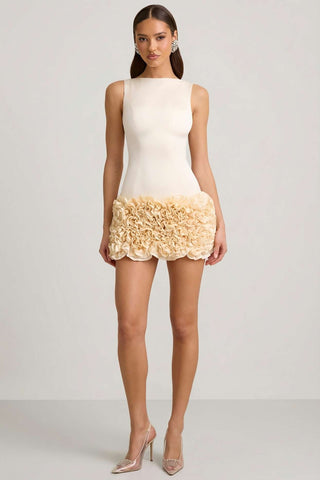 Floral Applique Open Back Mini Dress