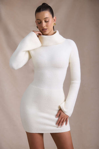 Ribbed Knit Turtleneck Mini Dress
