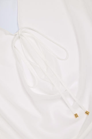 Sheer Chiffon Cowl Neck Mini Dress