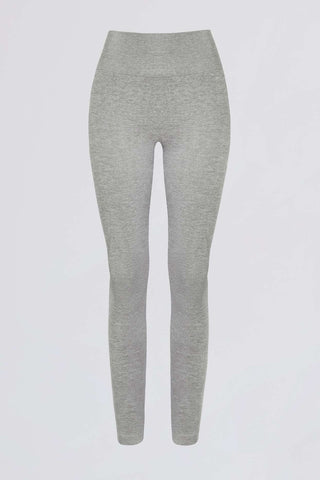 Sculpted Seamless High Waist Leggings