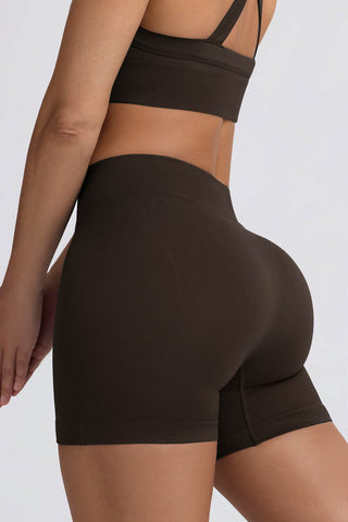 Seamless High Waist Workout Shorts