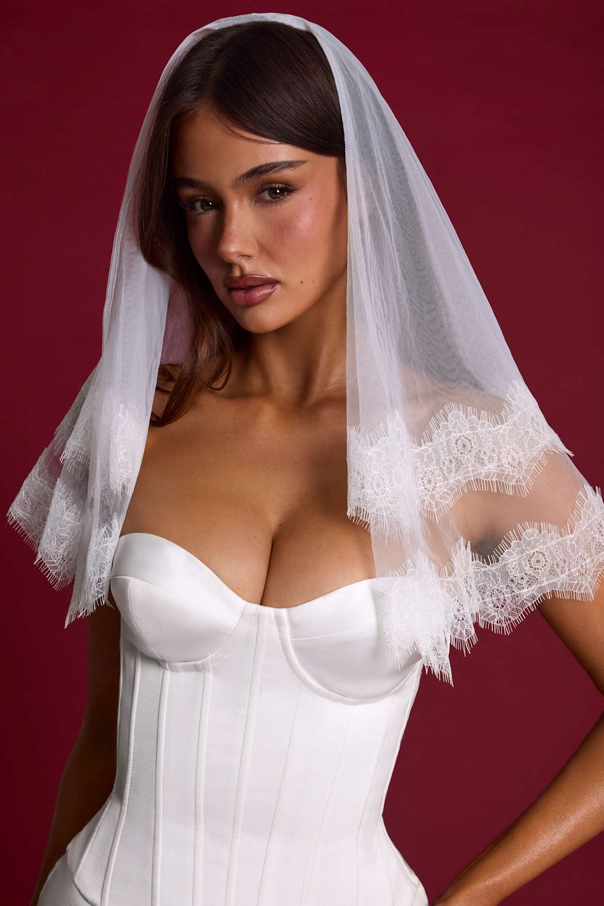 Lace Trim Veil