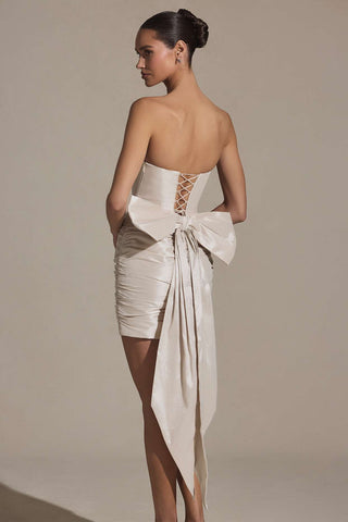 Strapless Bow Back Mini Dress